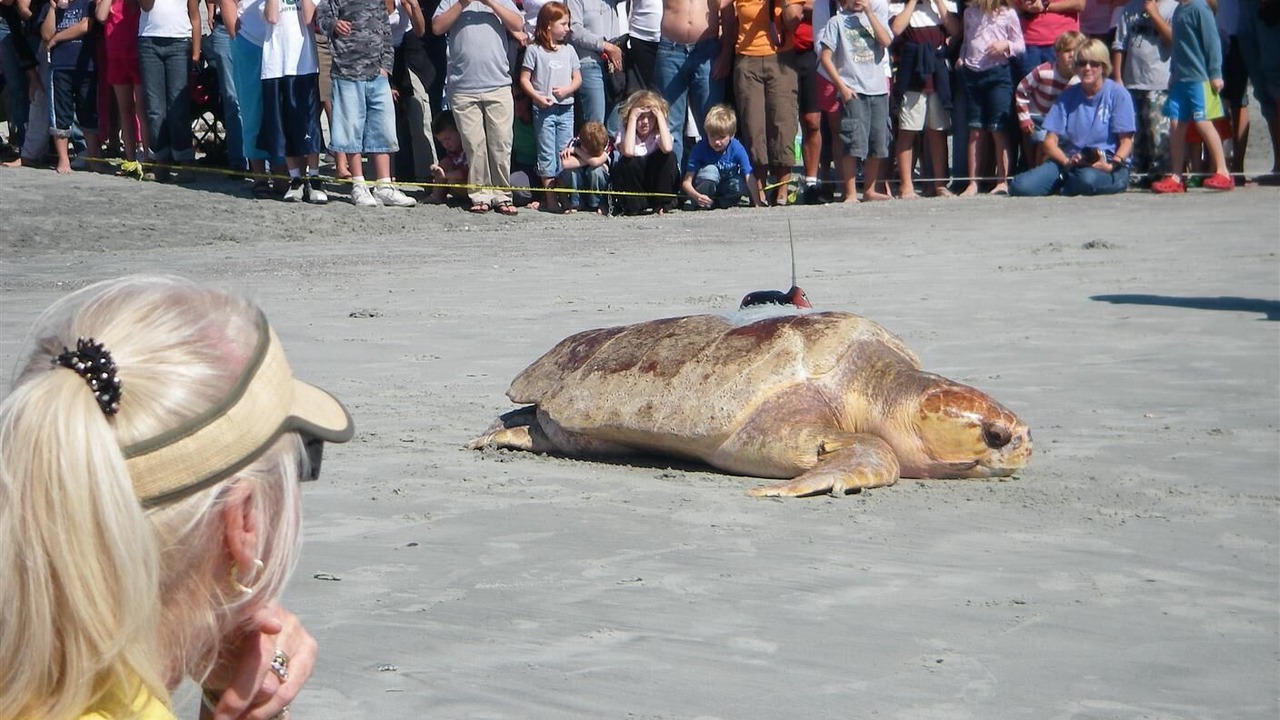 Photo of Others in Ocean Ridge