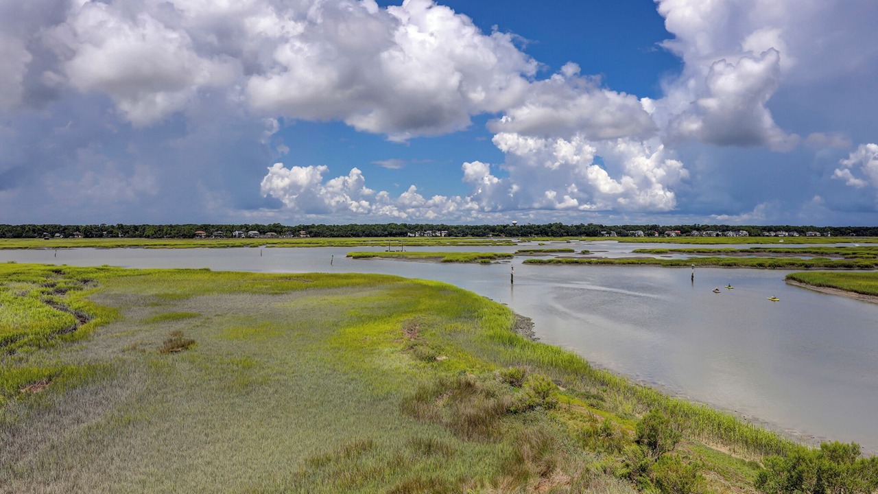 Photo of Others in Palmetto Dunes