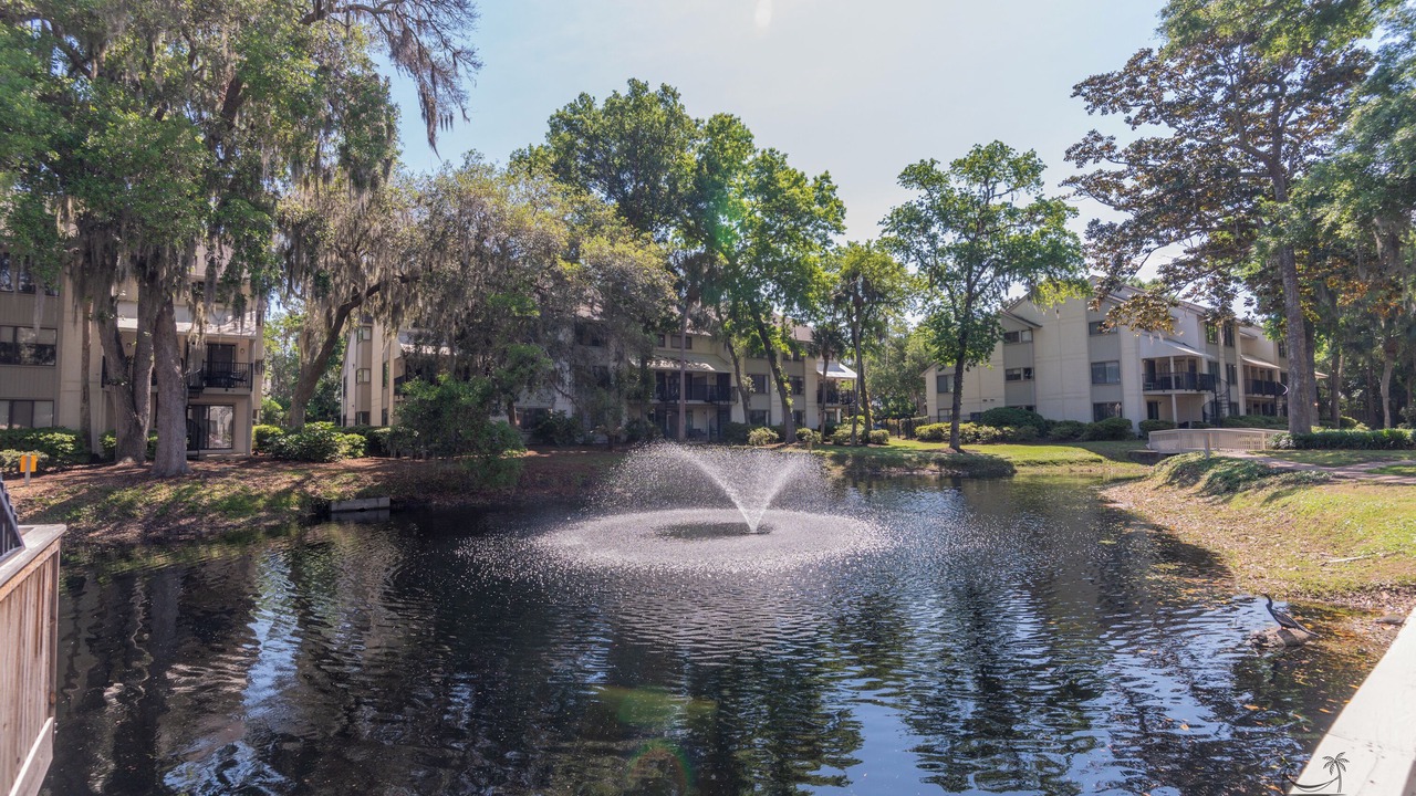 Photo of Outdoor in Hilton Head Island