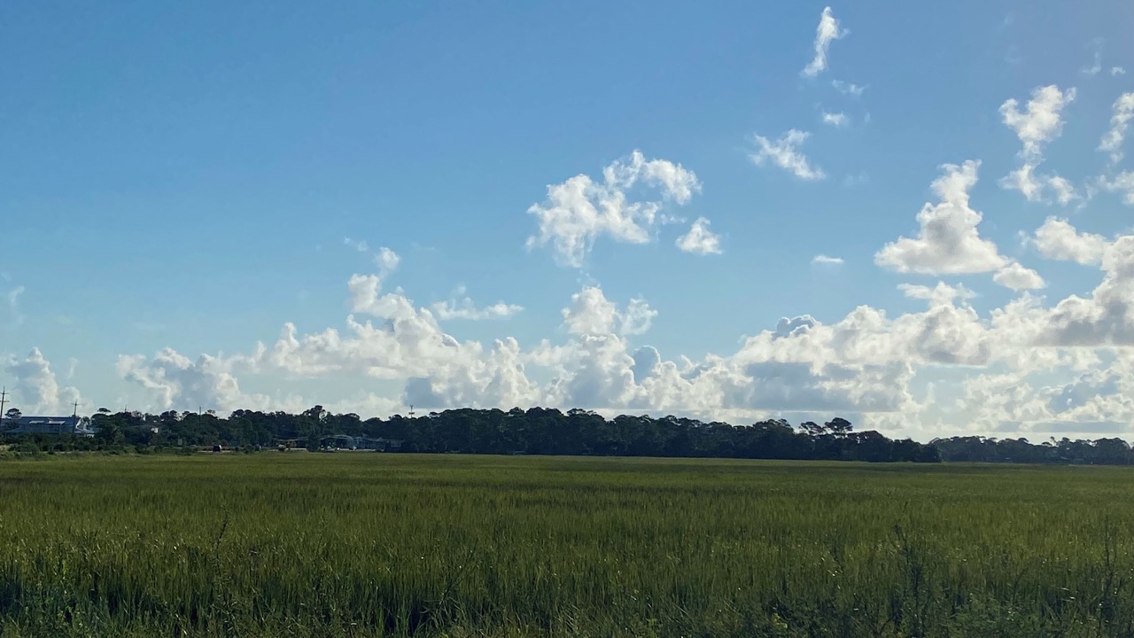 Photo of Others in Tybee Island