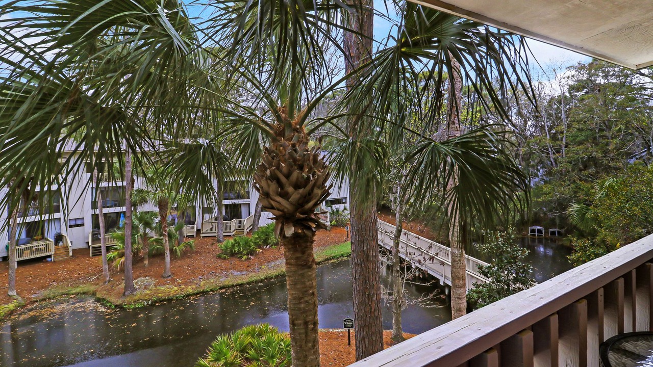 Photo of Outdoor in Hilton Head Island