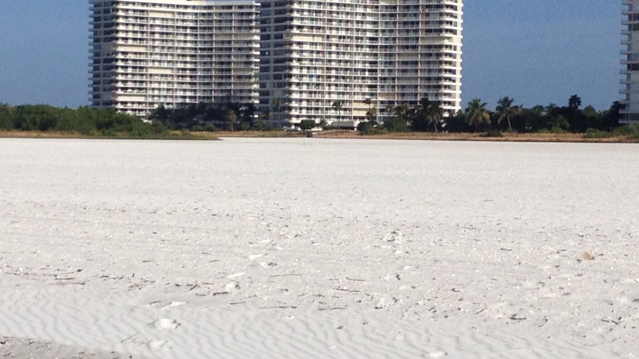 Photo of Others in Marco Island