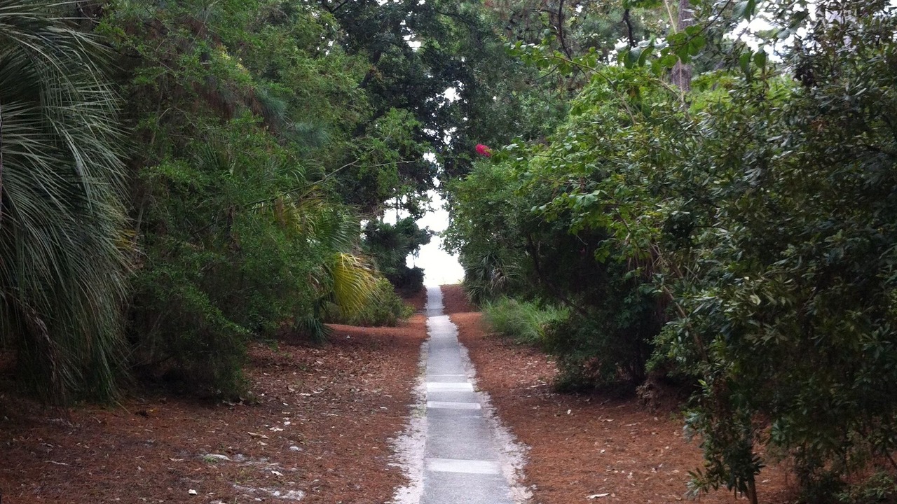 Photo of Others in Sea Pines