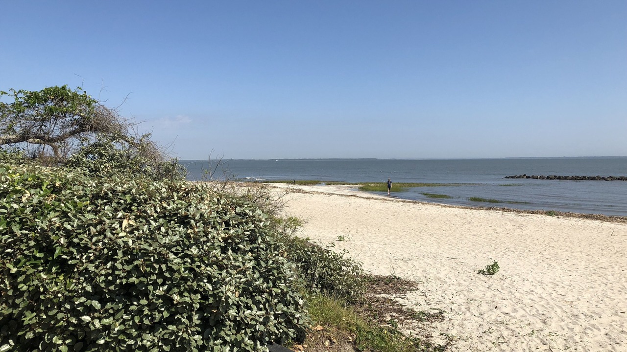 Photo of Others in Palmetto Dunes