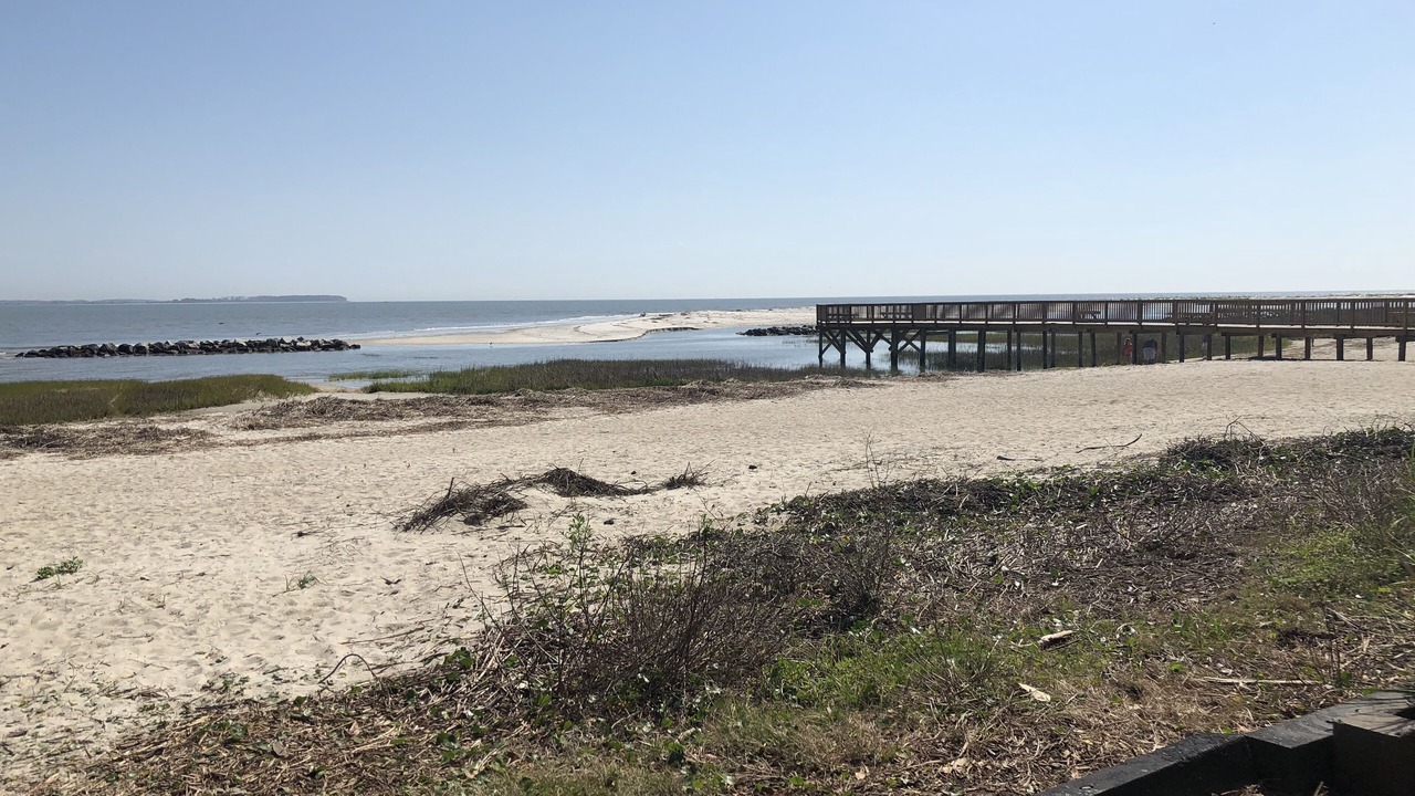 Photo of Others in Palmetto Dunes