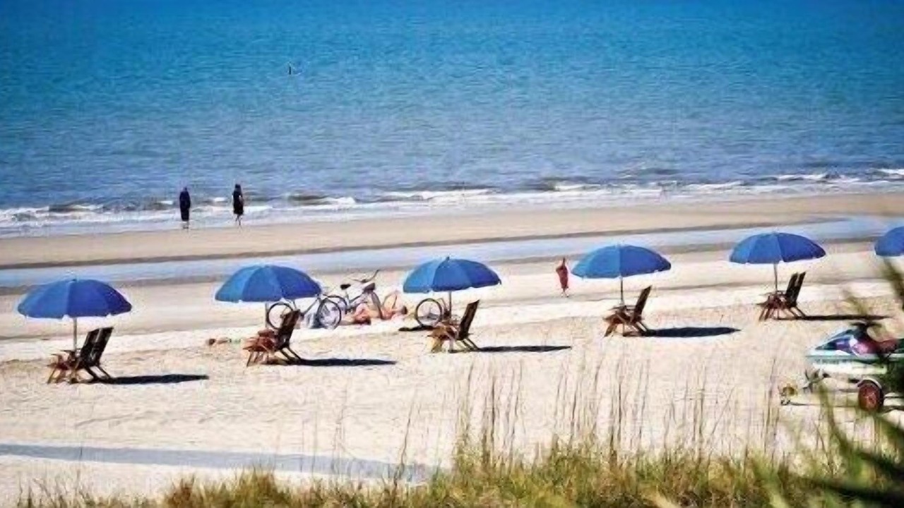 Photo of Others in Hilton Head Island