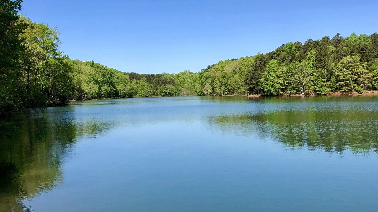 Photo of Others in Seneca