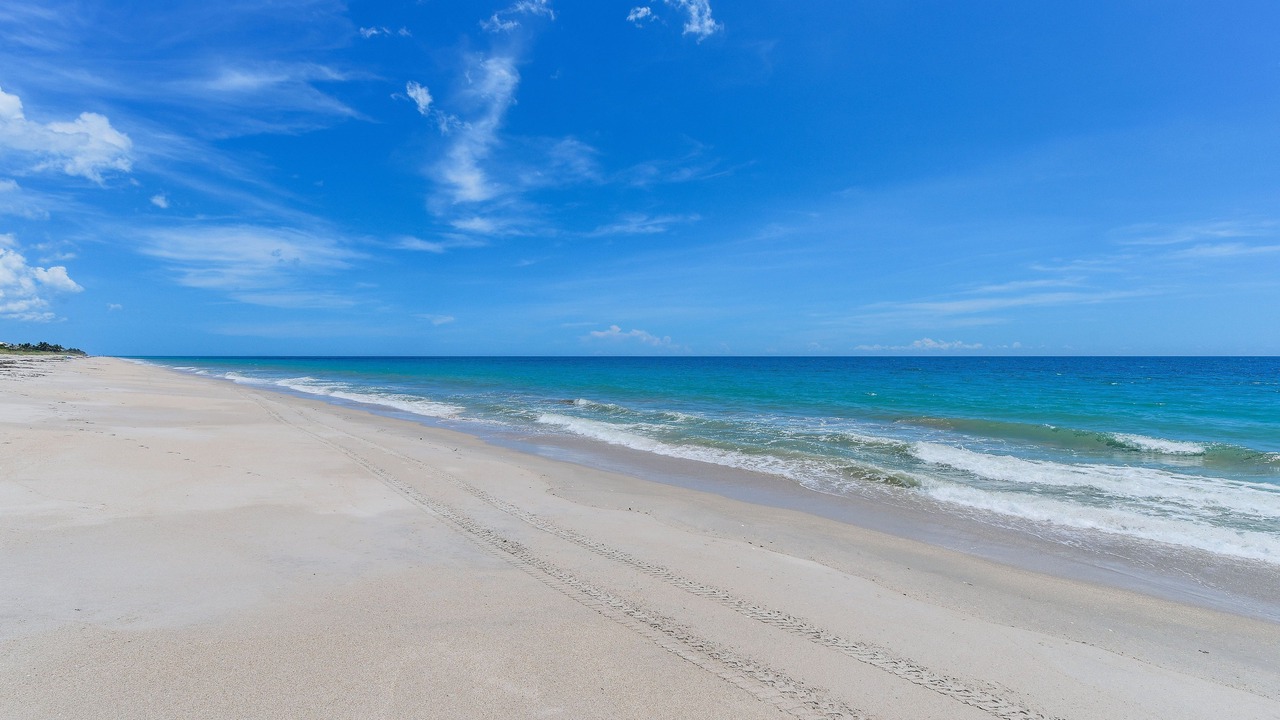 Photo of Others in South Beach