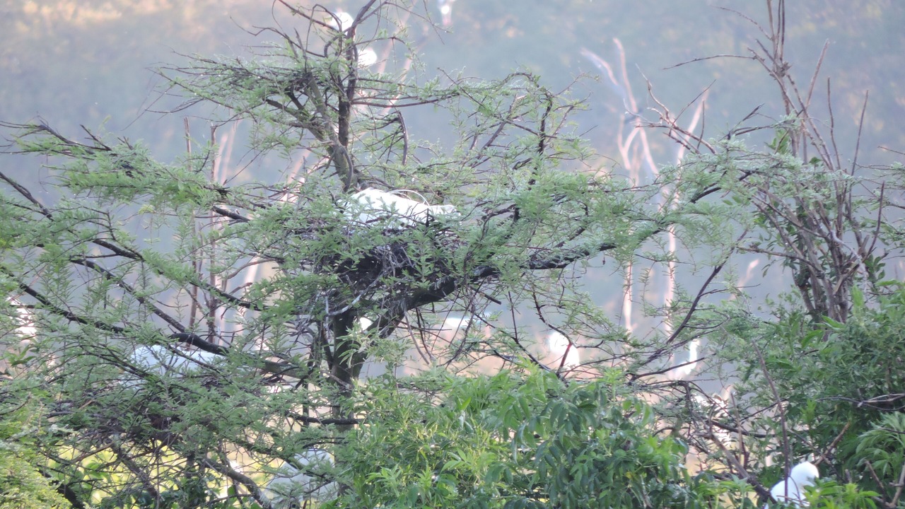 Photo of Outdoor in Valona