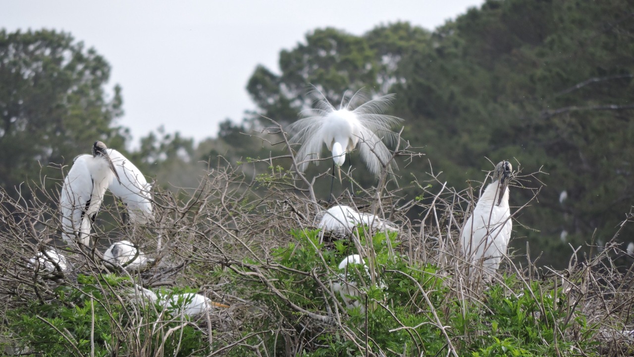 Photo of Outdoor in Valona