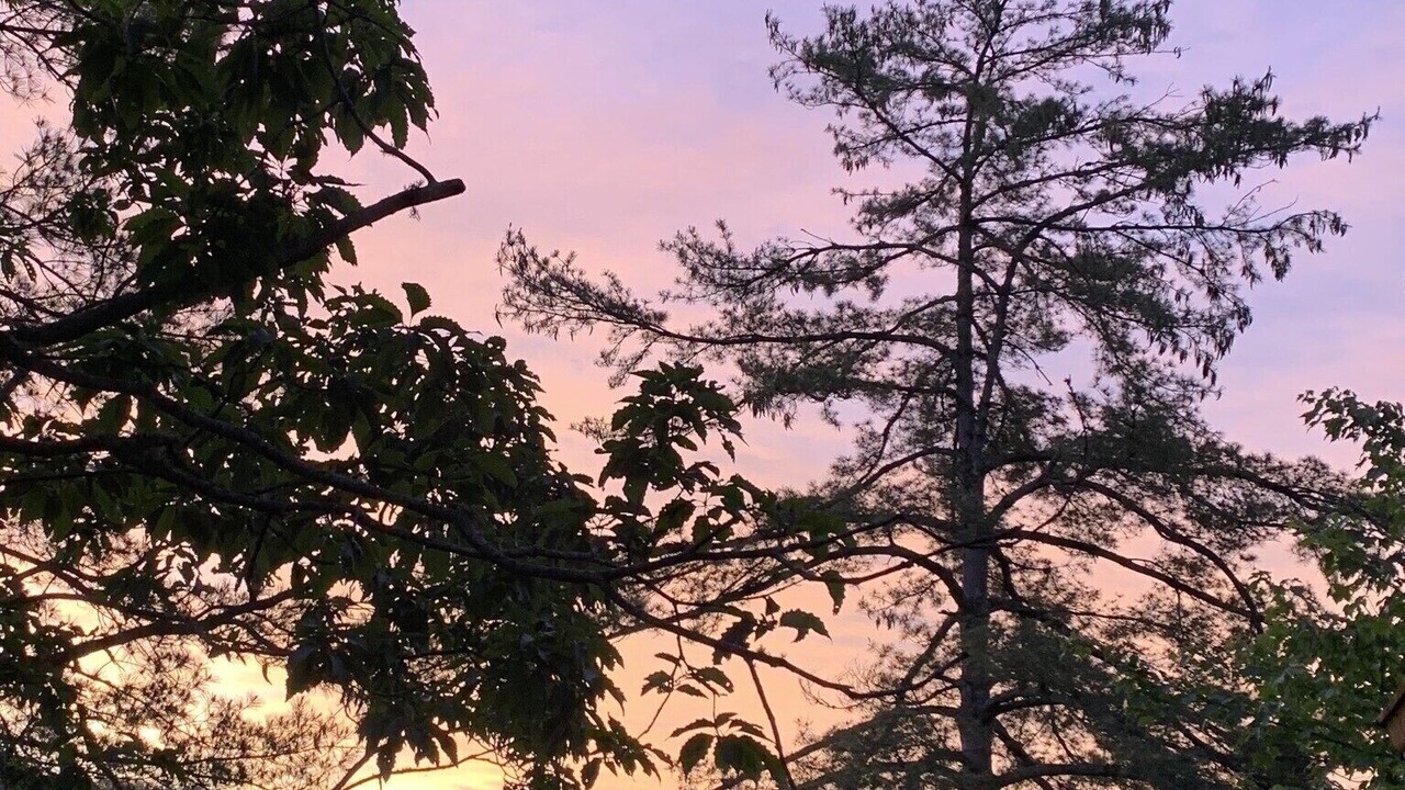 Photo of Others in Lake Toxaway