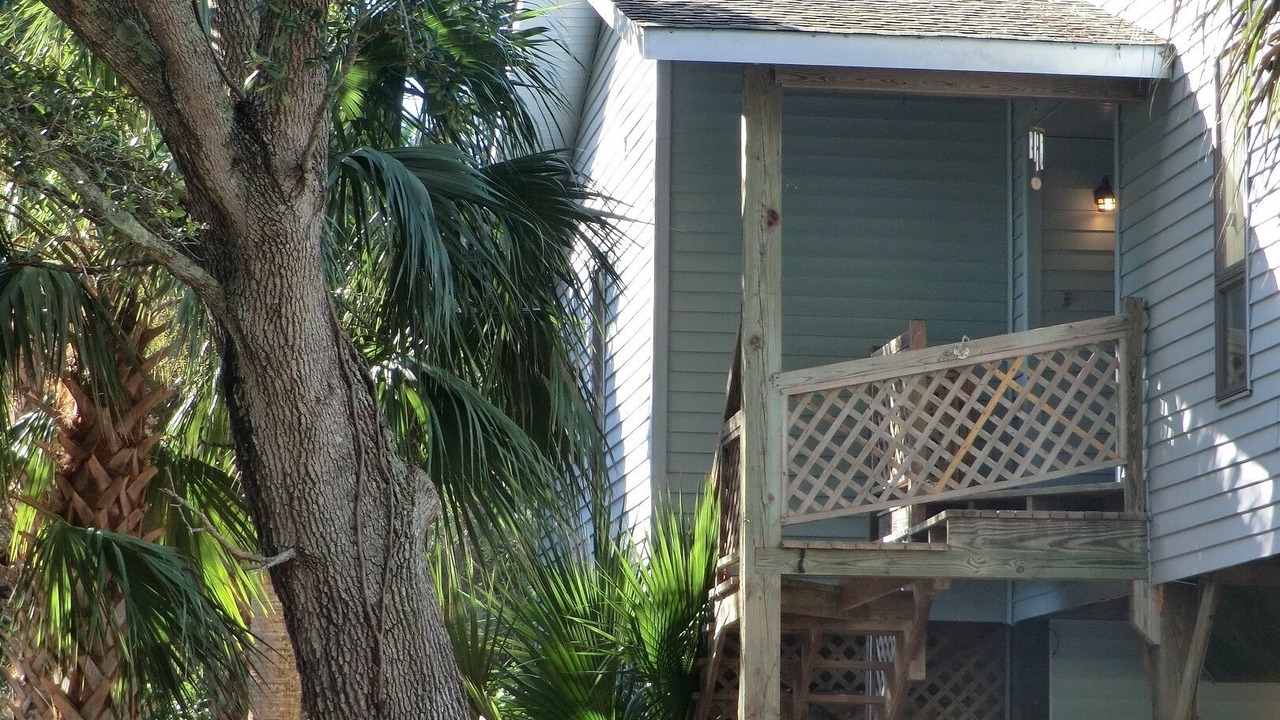 Photo of Others in Edisto Island