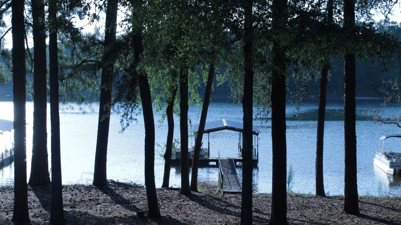 Photo of Outdoor in Townville