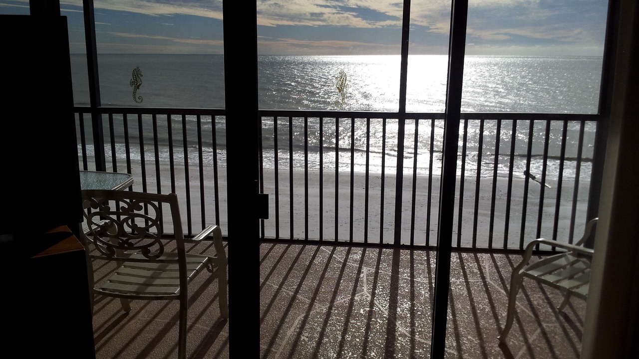 Photo of Others in Madeira Beach