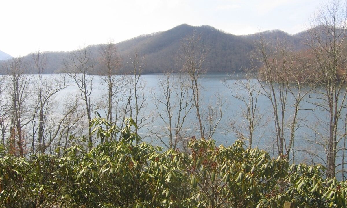 Photo of Outdoor in Topton