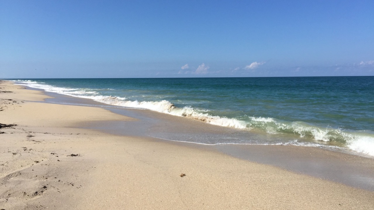 Photo of Others in South Beach