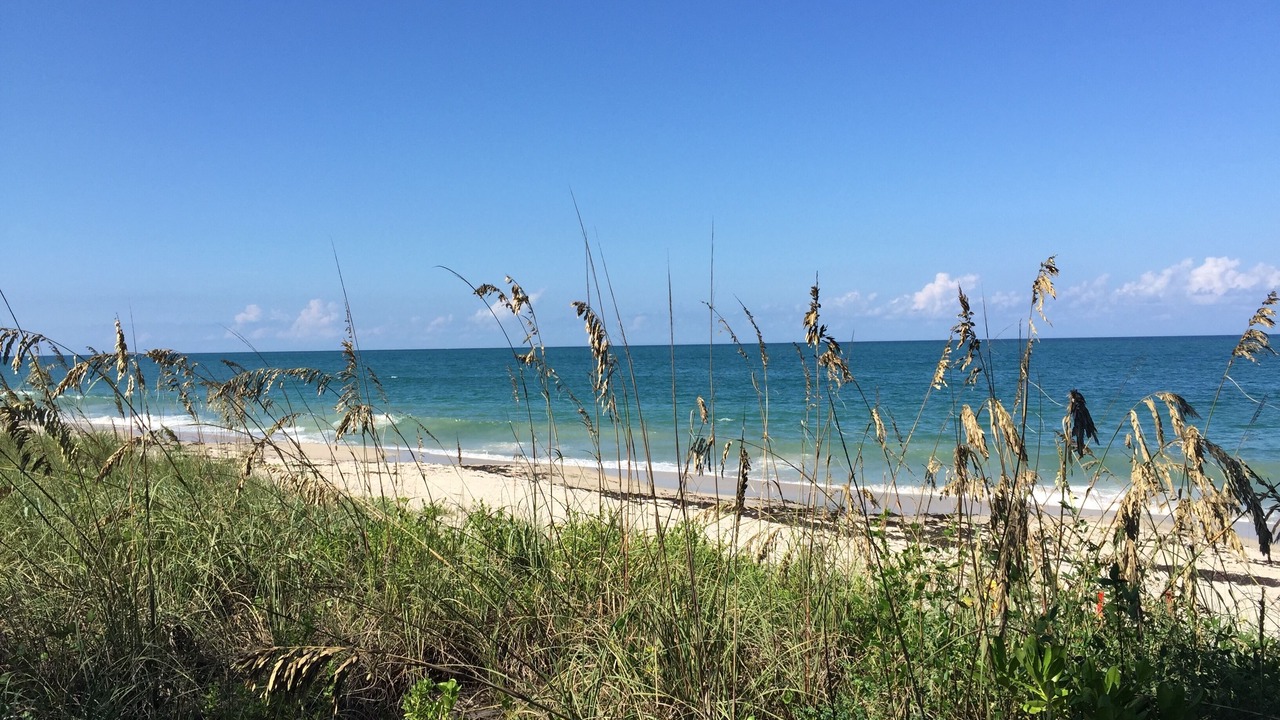 Photo of Others in South Beach