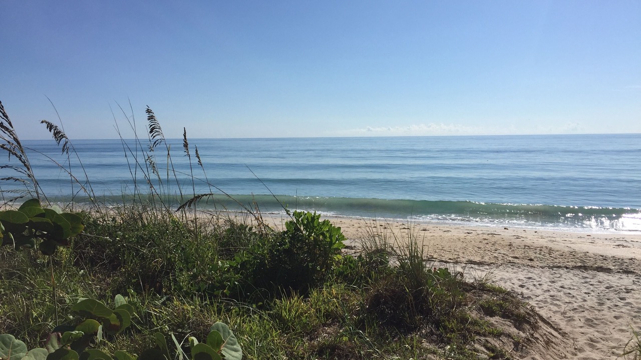 Photo of Others in South Beach
