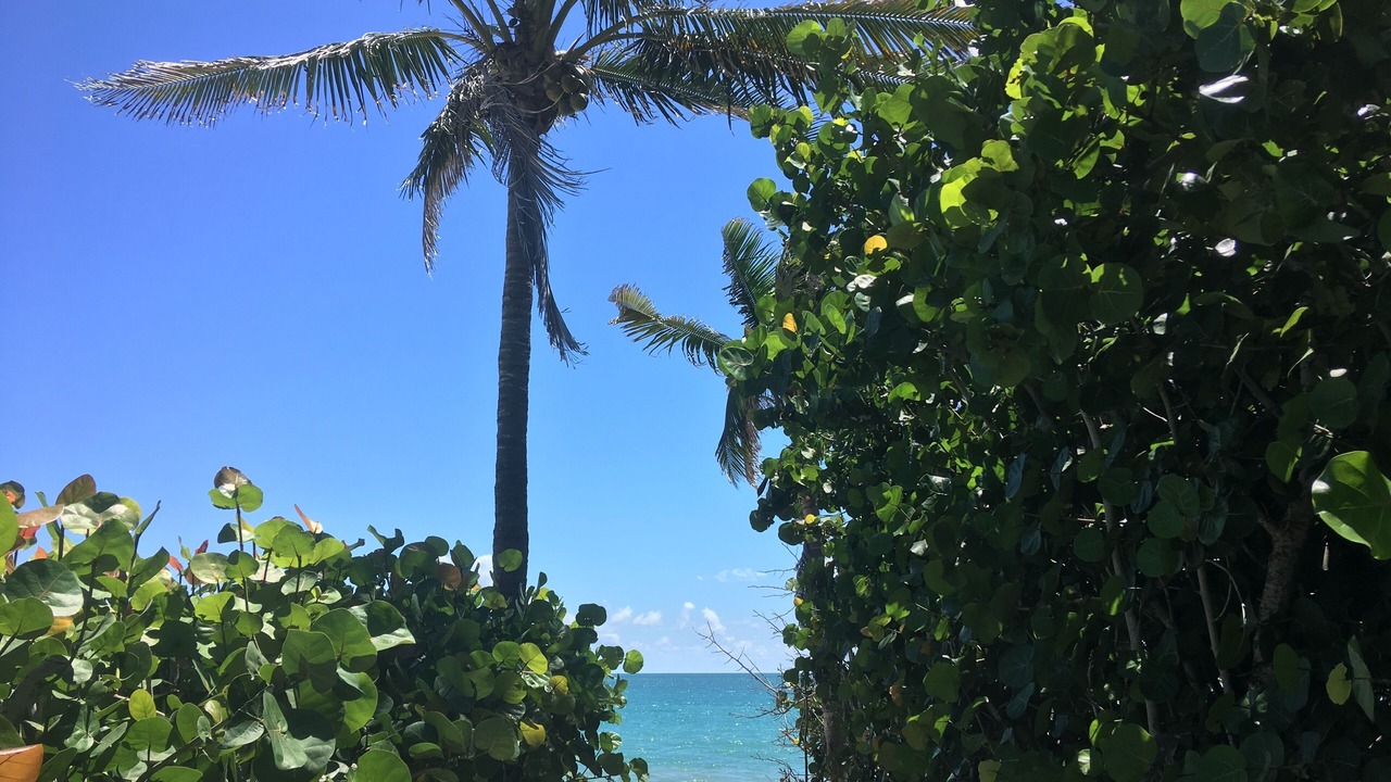 Photo of Others in South Beach
