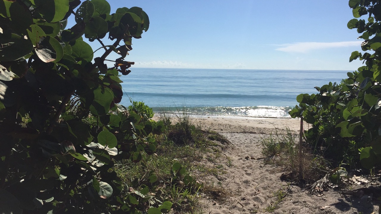 Photo of Others in South Beach