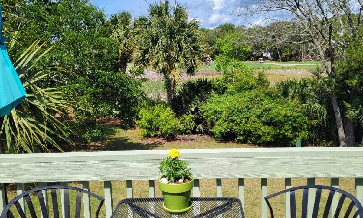 Photo of Outdoor in Seabrook Island