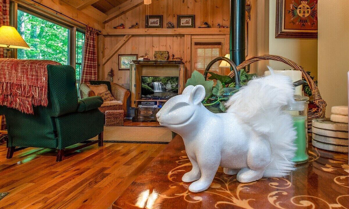 Photo of Livingroom in Brevard