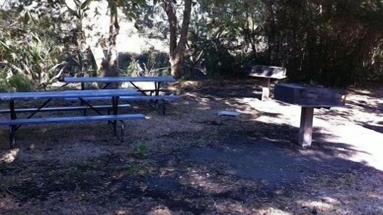 Photo of Others in Folly Field