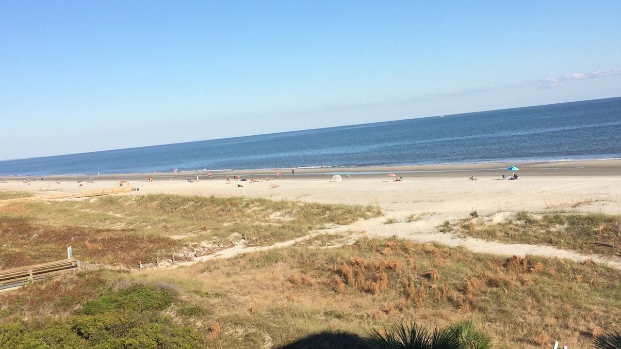 Photo of Others in Folly Field