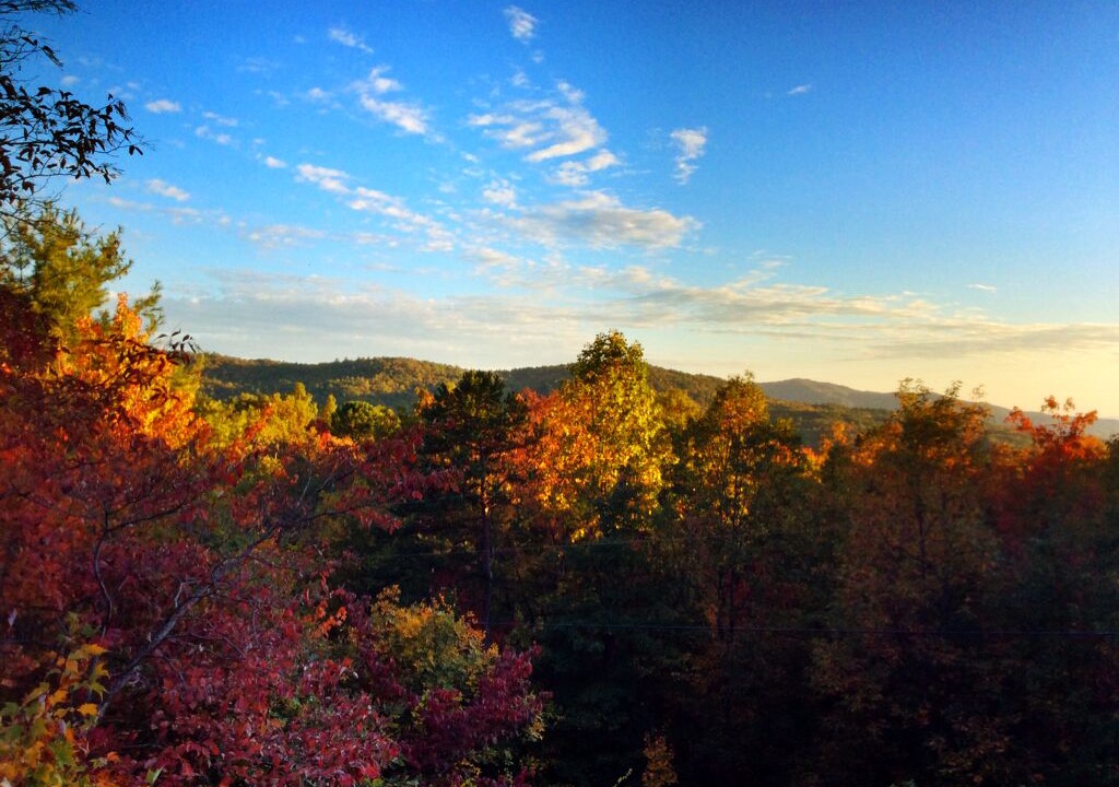 Photo of Outdoor in Brevard