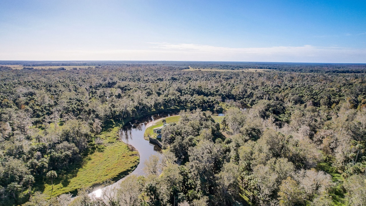 Photo of Others in Wauchula