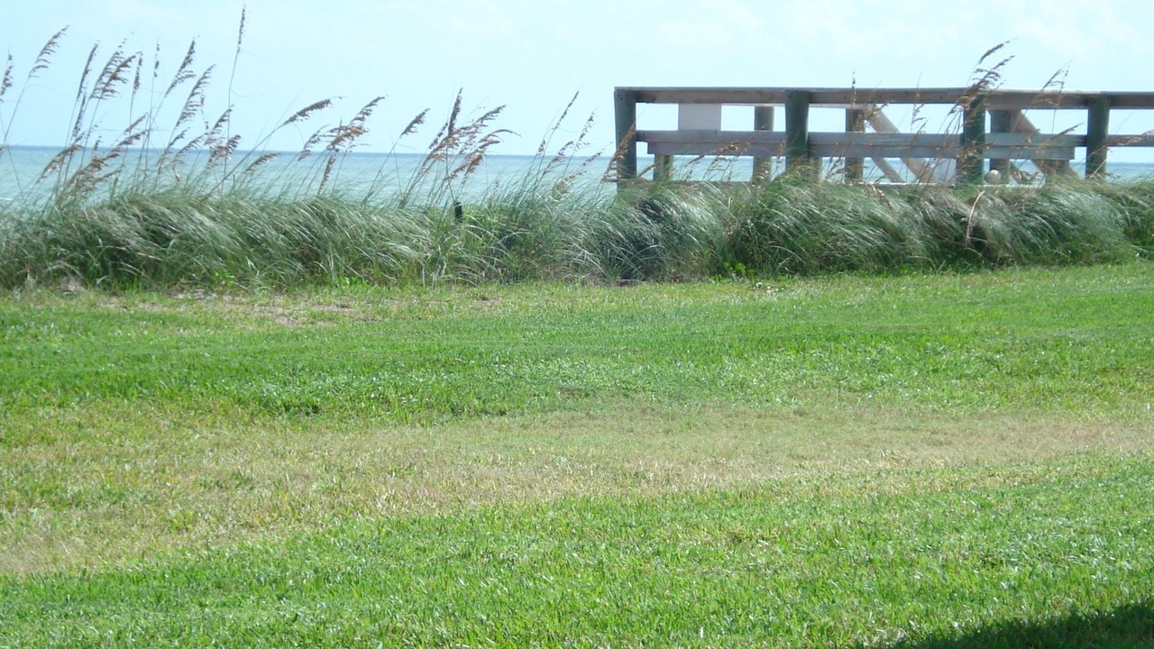 Photo of Outdoor in Indian River Shores