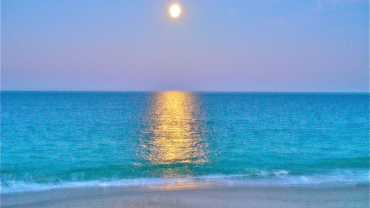 Photo of Others in Indian River Shores