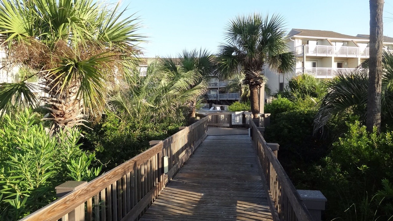 Photo of Outdoor in North Forest Beach