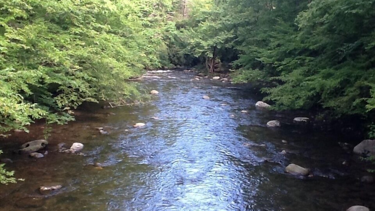 Photo of Outdoor in Sevierville