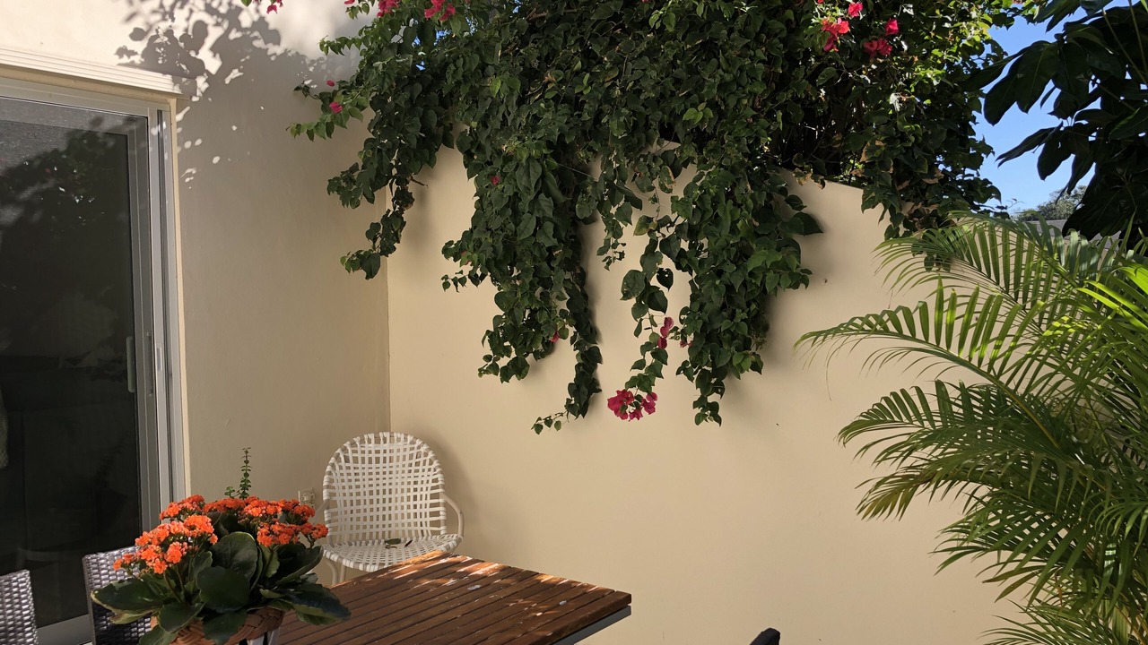 Photo of Outdoor in Johns Island