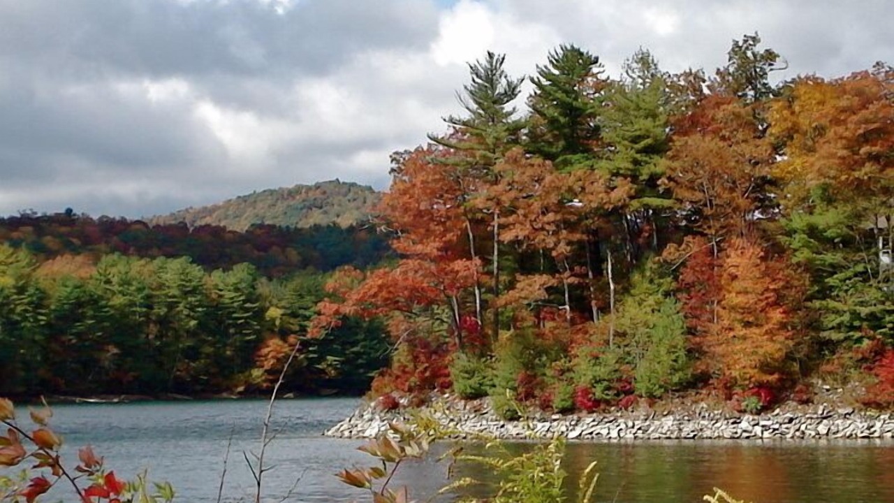 Photo of Outdoor in Glenville