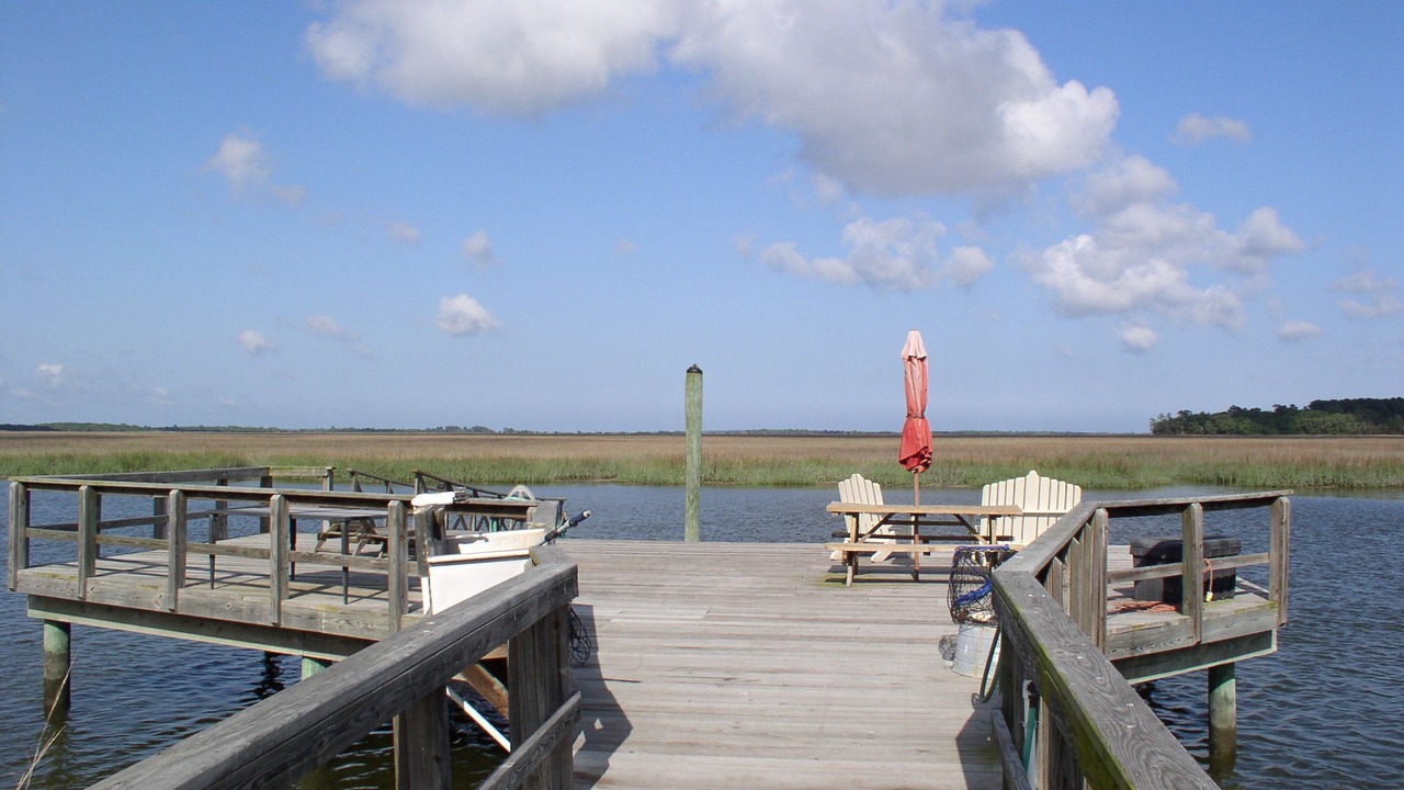 Photo of Others in Whitemarsh Island