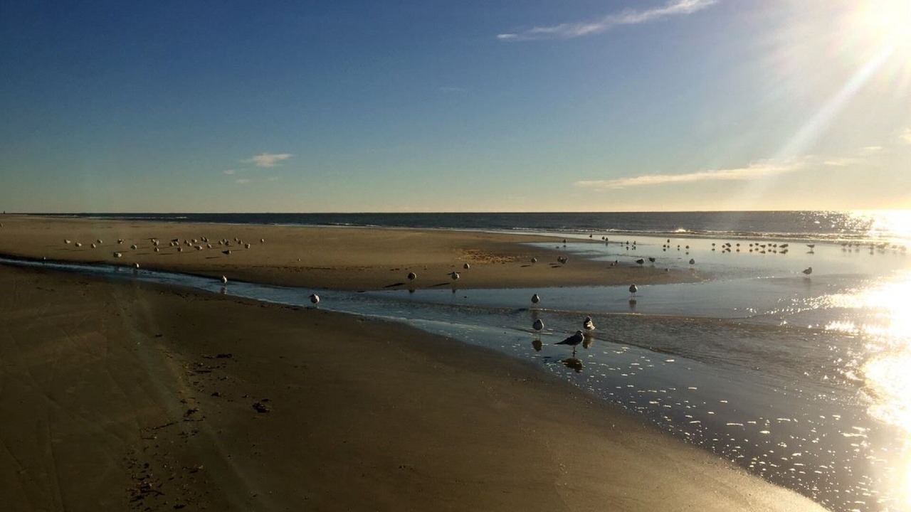 Photo of Others in Hilton Head Island