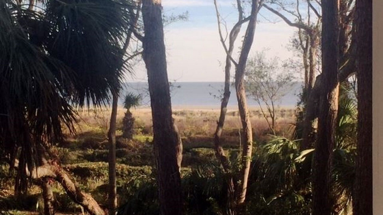 Photo of Patio Balcony in Hilton Head Island