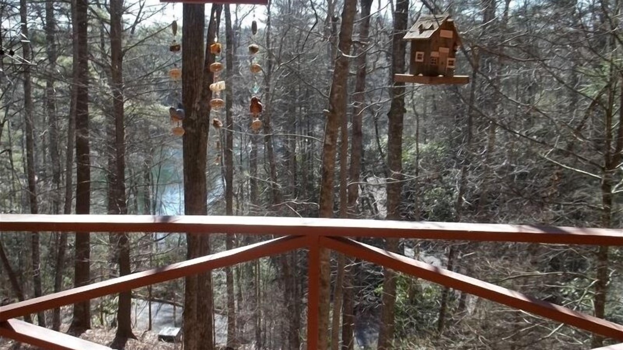 Photo of Outdoor in Brevard
