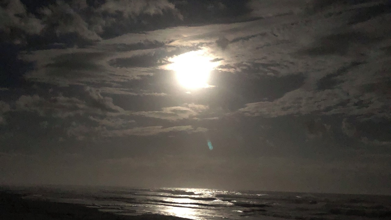 Photo of Others in North Forest Beach