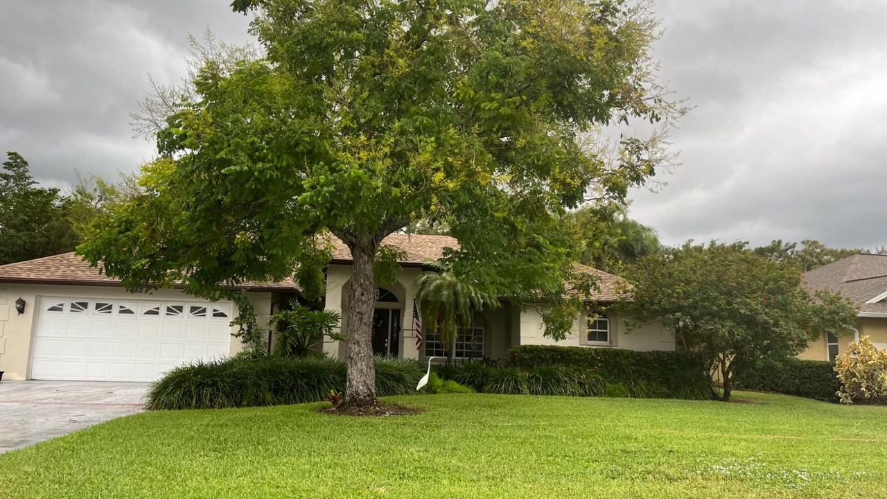 Photo of Outdoor in Palm River Estates