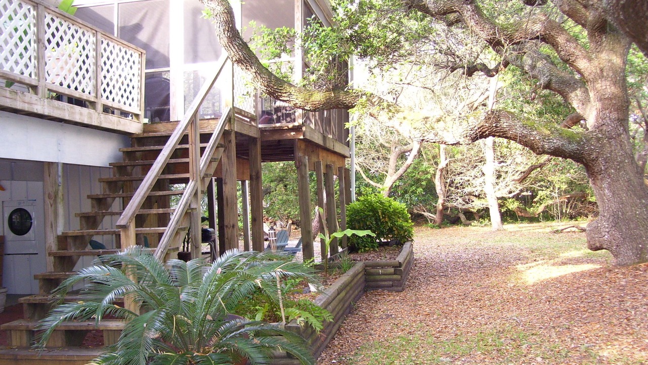 Photo of Outdoor in Surf City