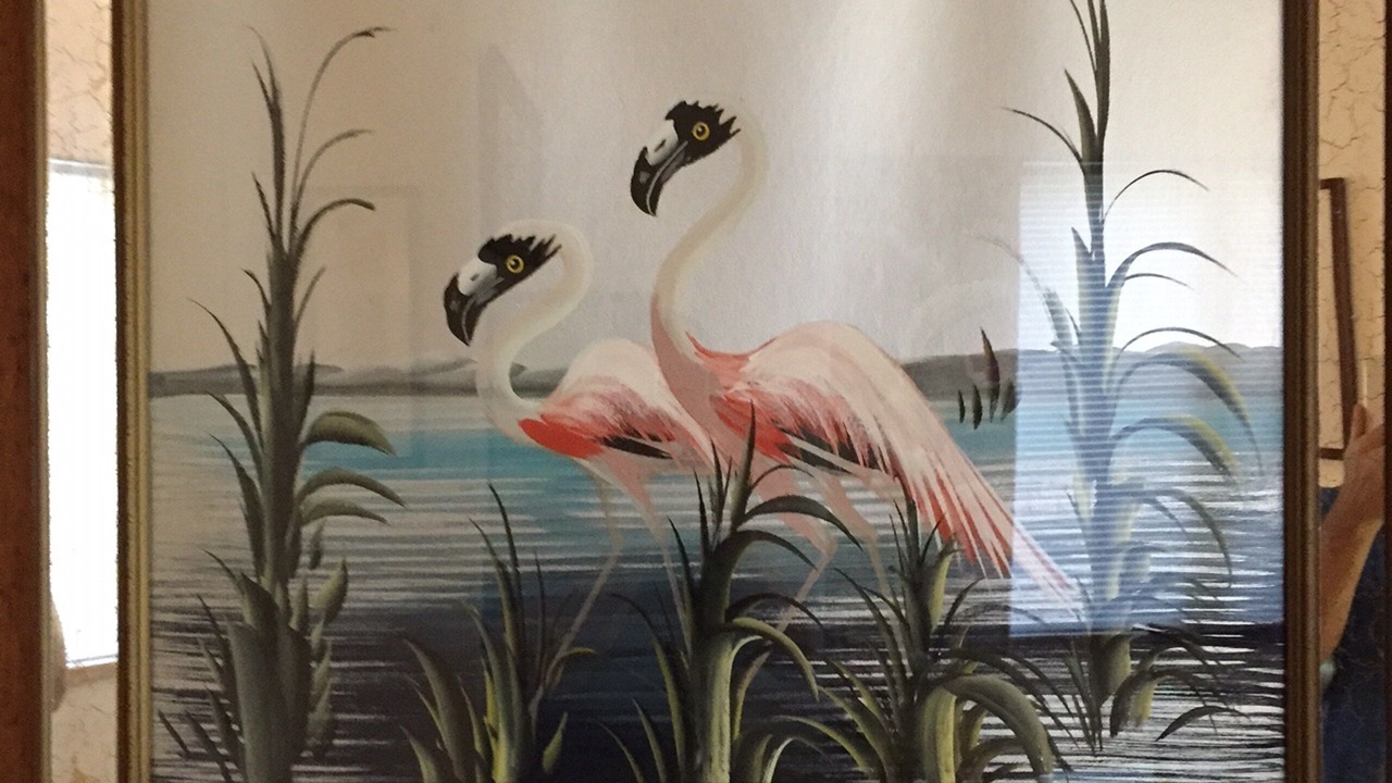Photo of Others in Vero Beach