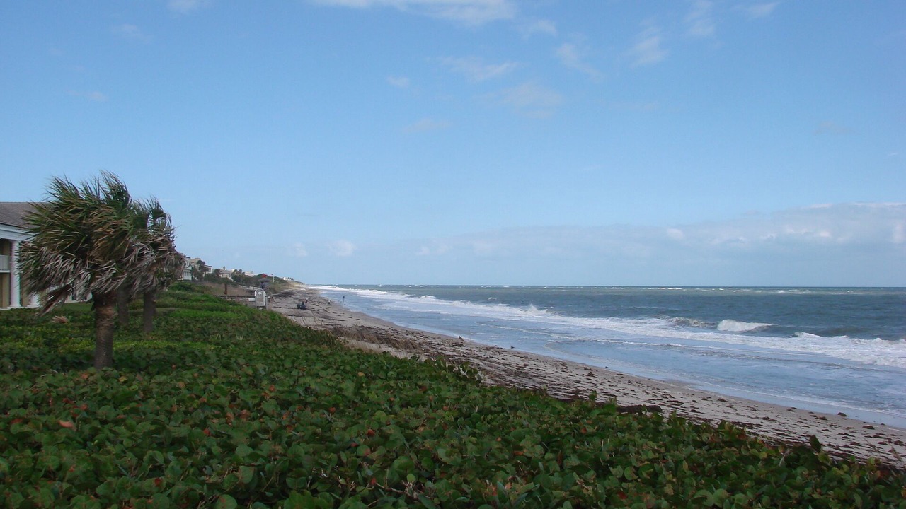 Photo of Others in Johns Island
