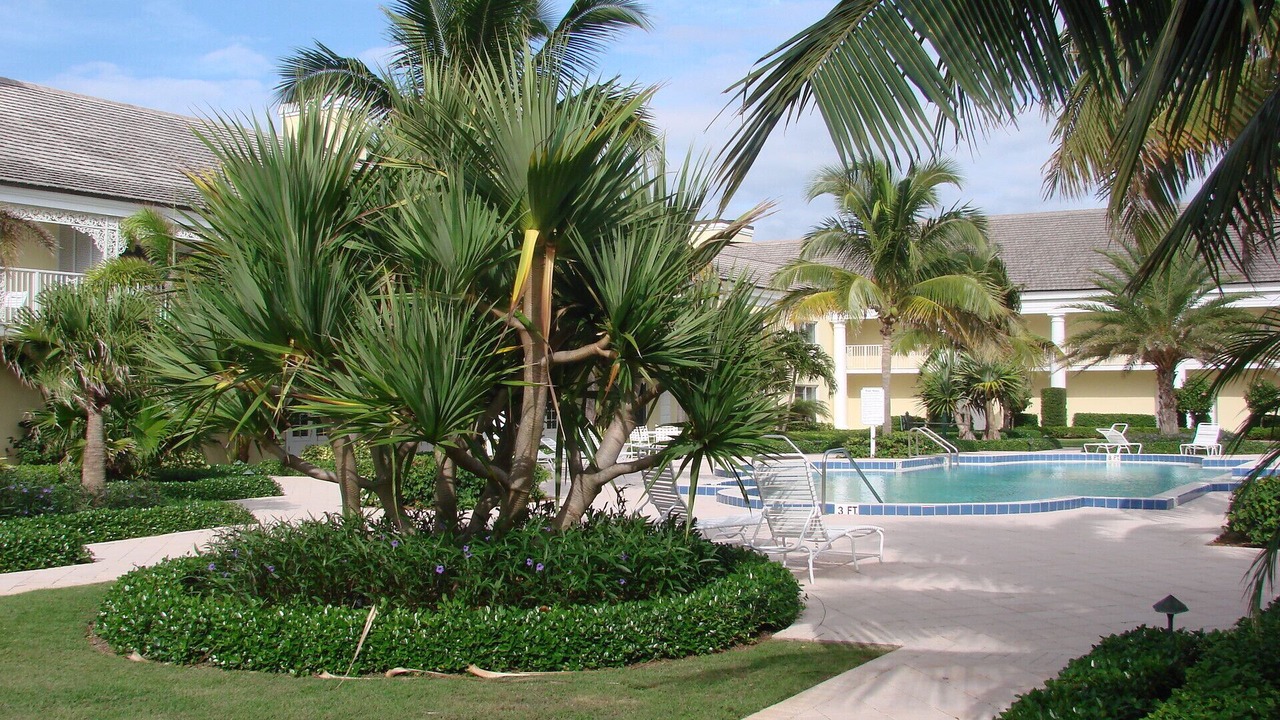 Photo of Outdoor in Johns Island