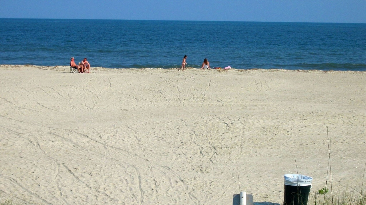 Photo of Others in North Forest Beach