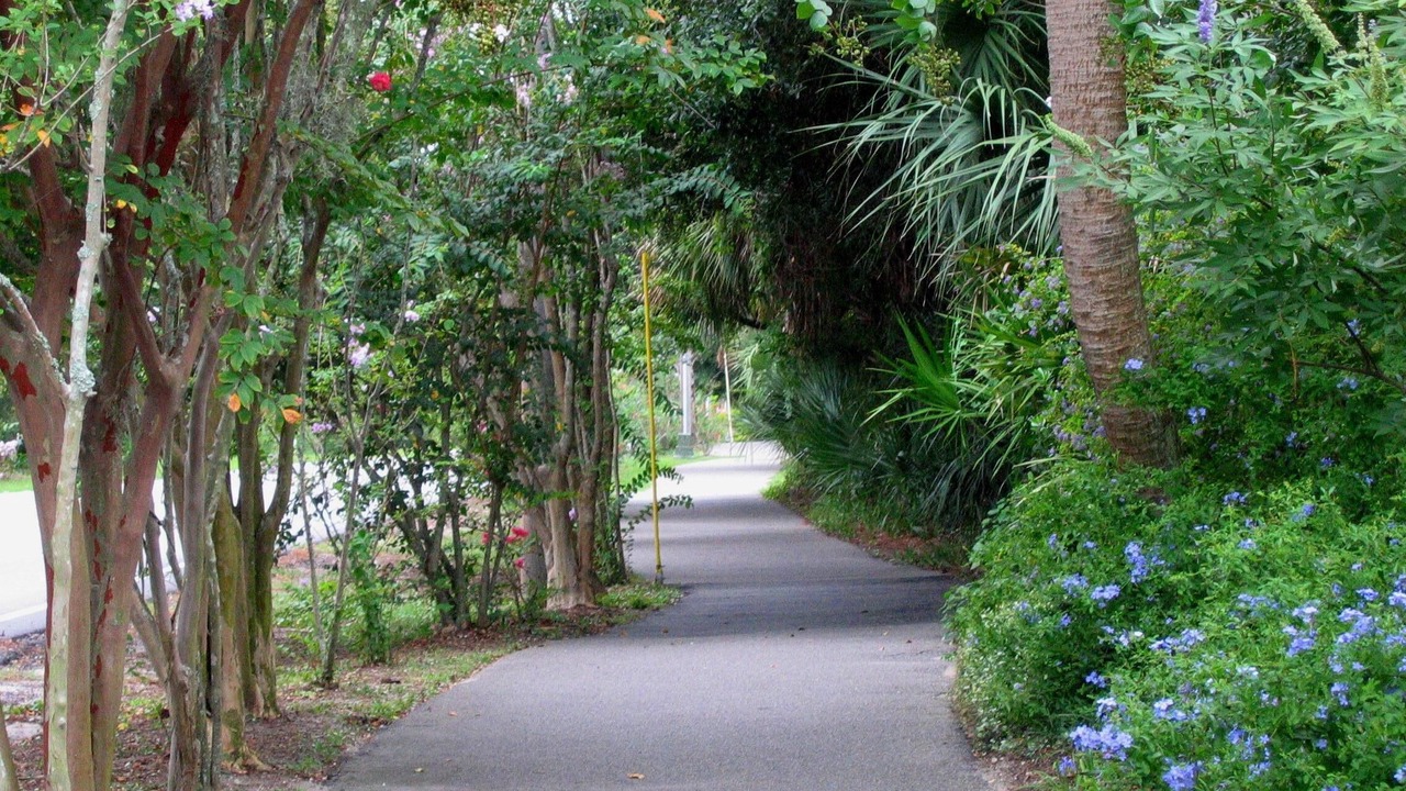 Photo of Others in North Forest Beach
