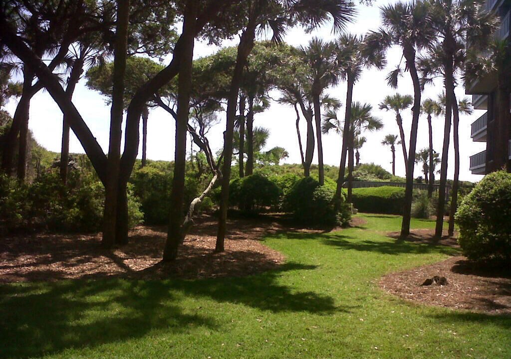 Photo of Others in Kiawah Island