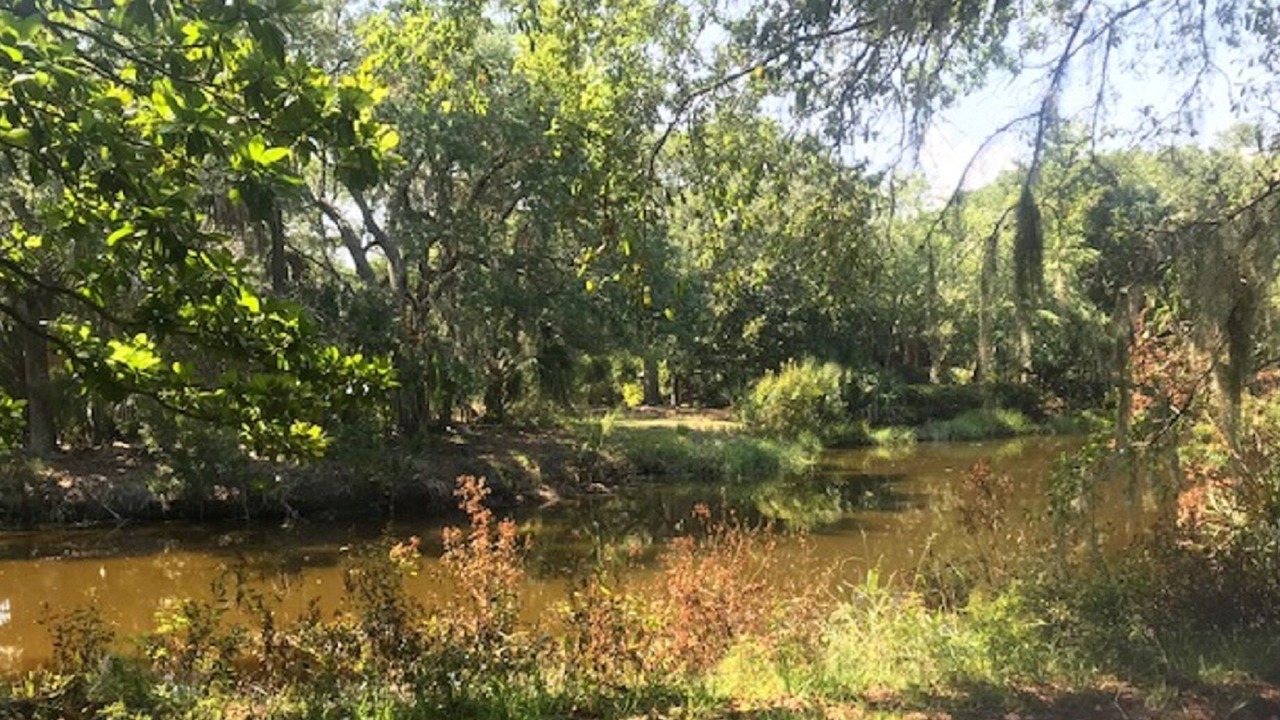 Photo of Others in Kiawah Island